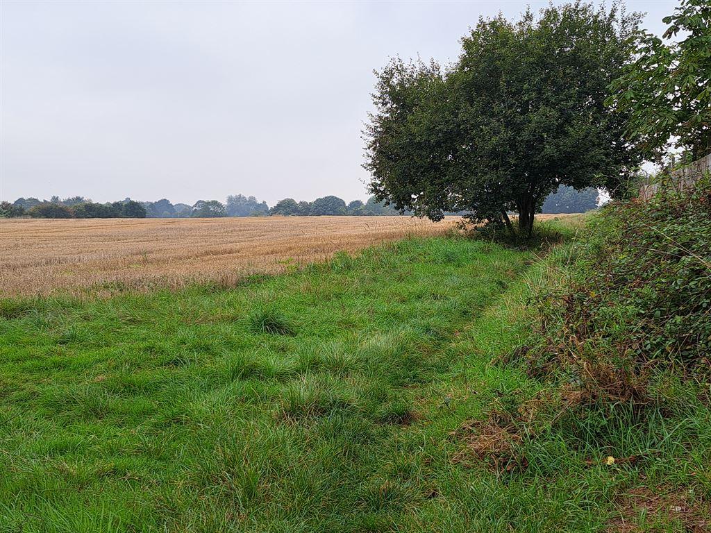 fields