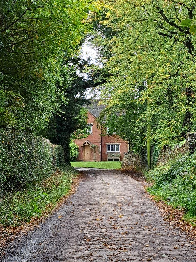 lane