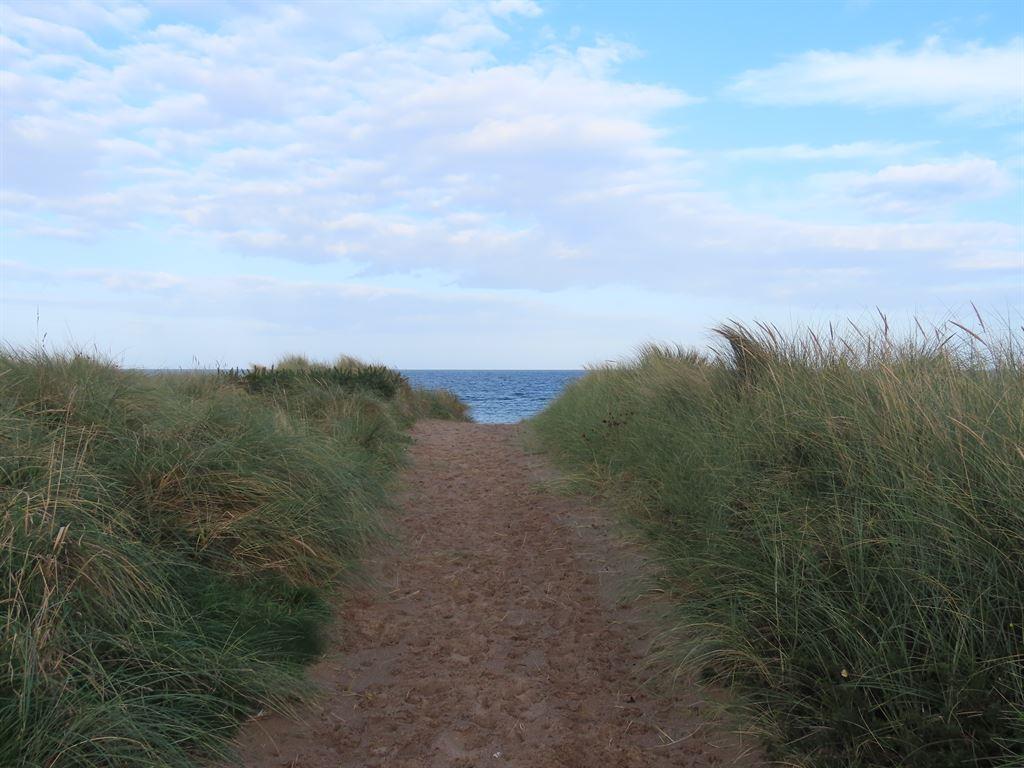 sea