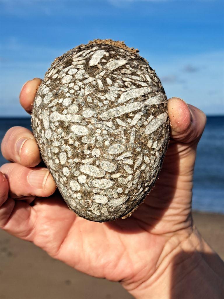 paintedrock