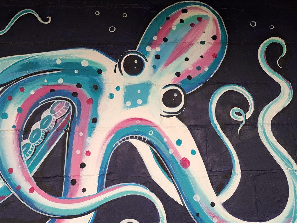 octopus
