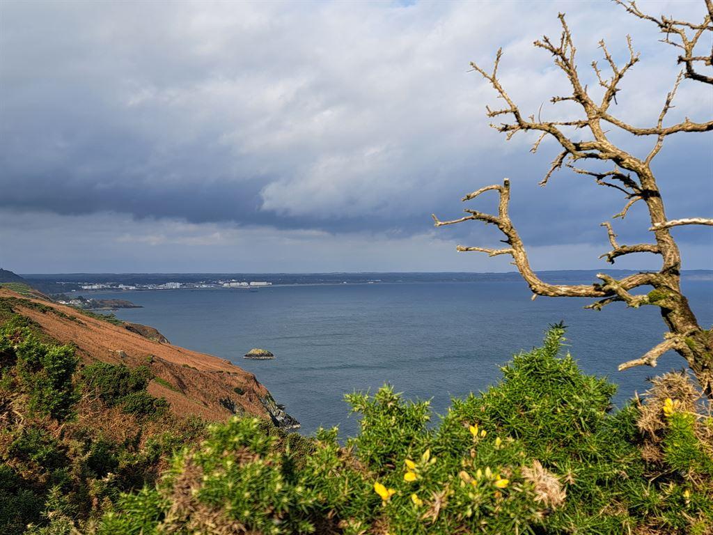 cliff1