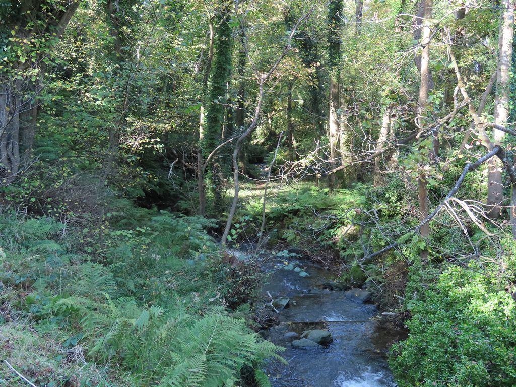 river