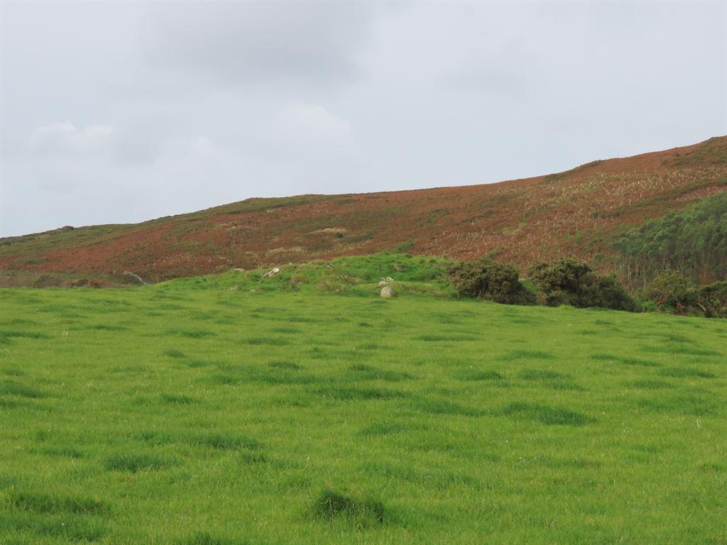 fort