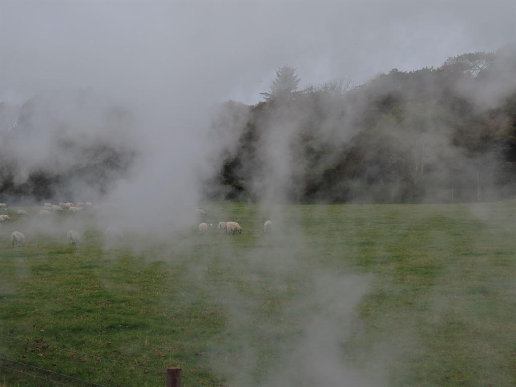 steam1