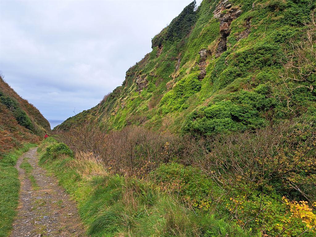 beachtrack