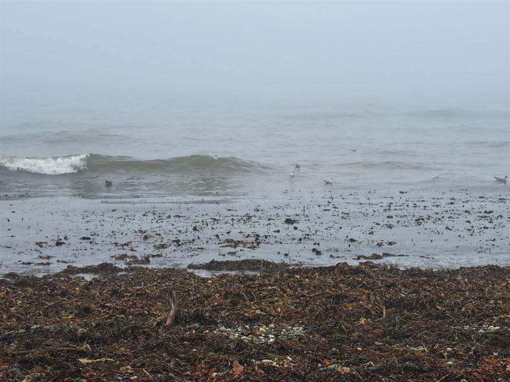 seashore
