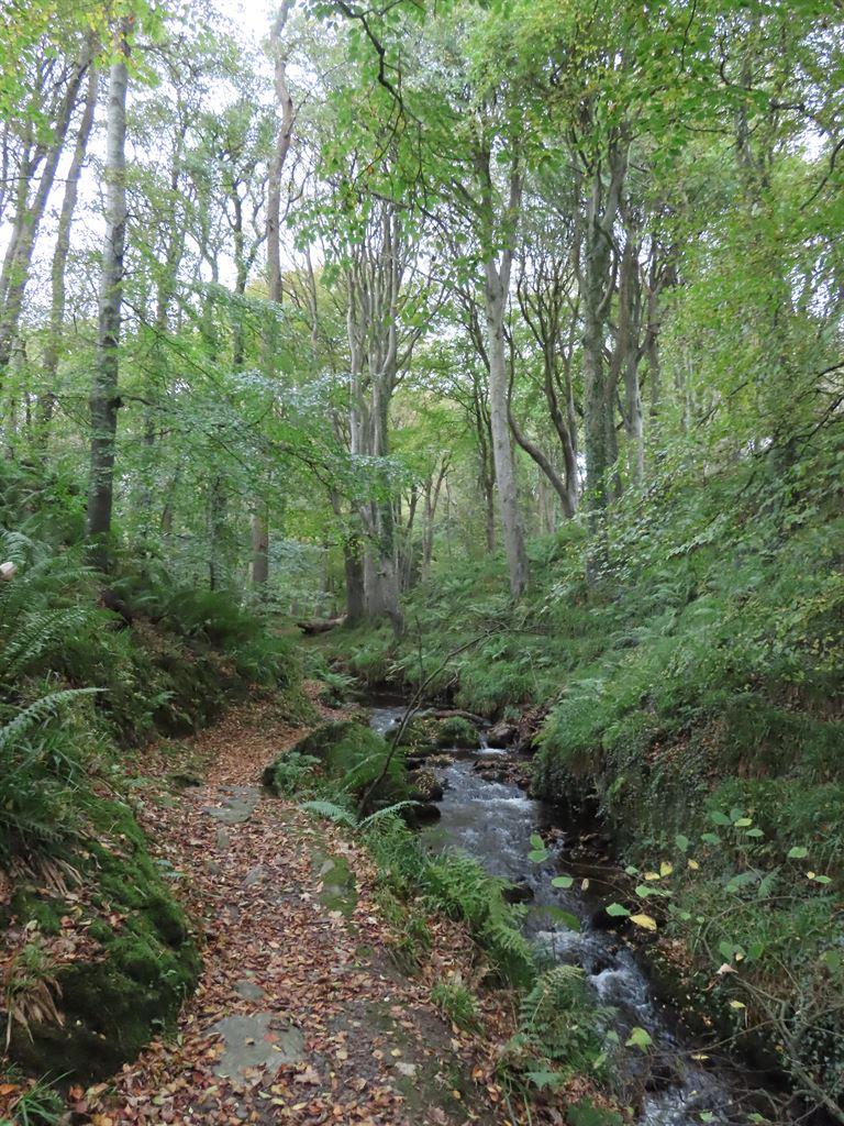 glen3