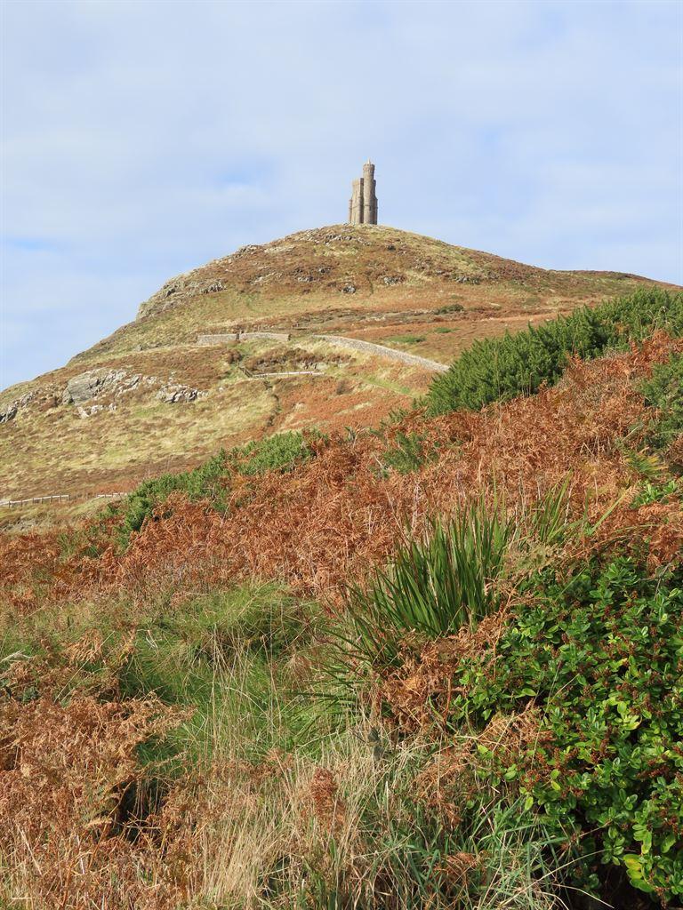 tower1