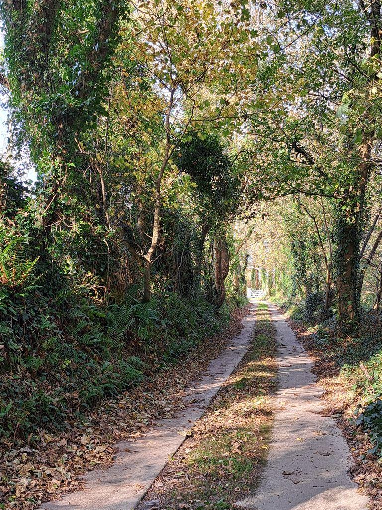 lane2