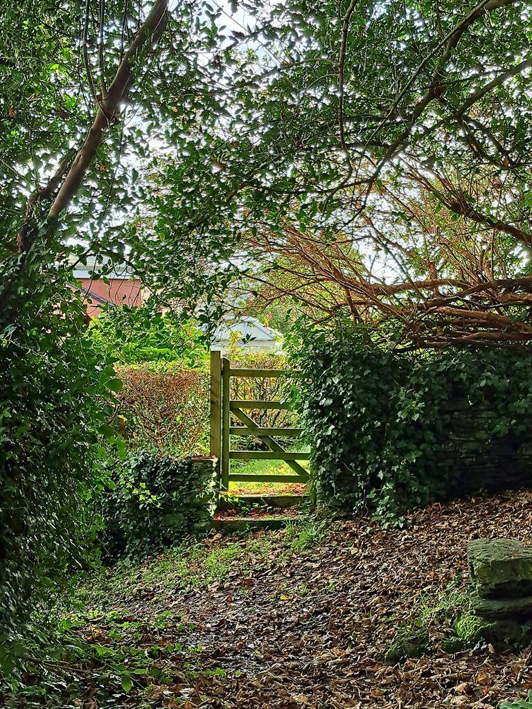 gate