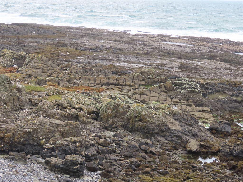 shore6