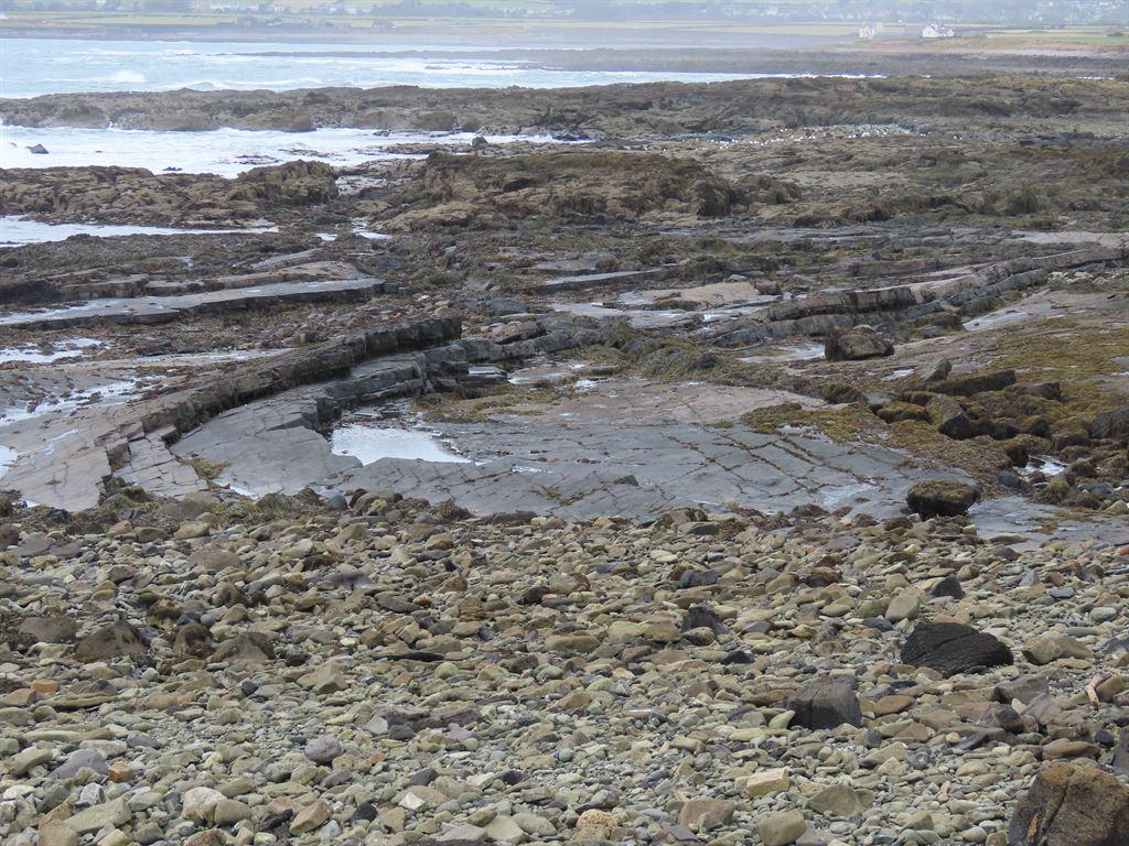 shore7