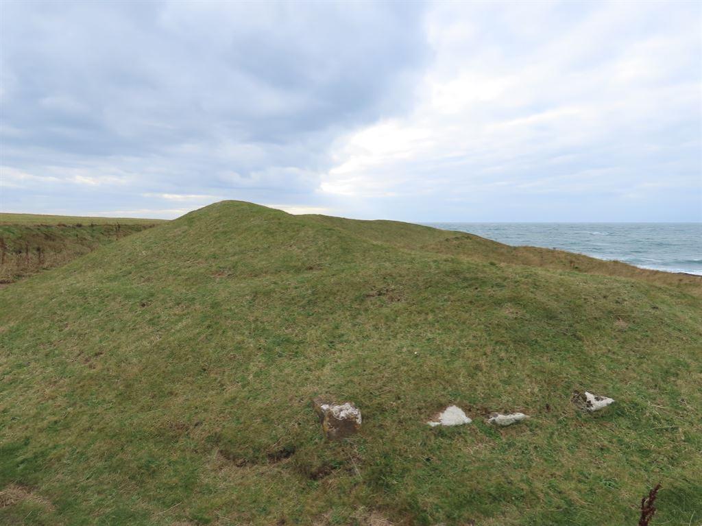 closenychollagh
