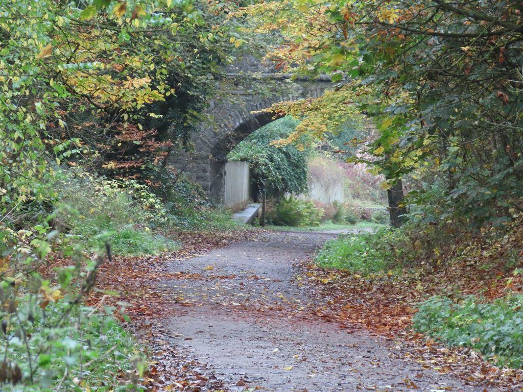 bridge4
