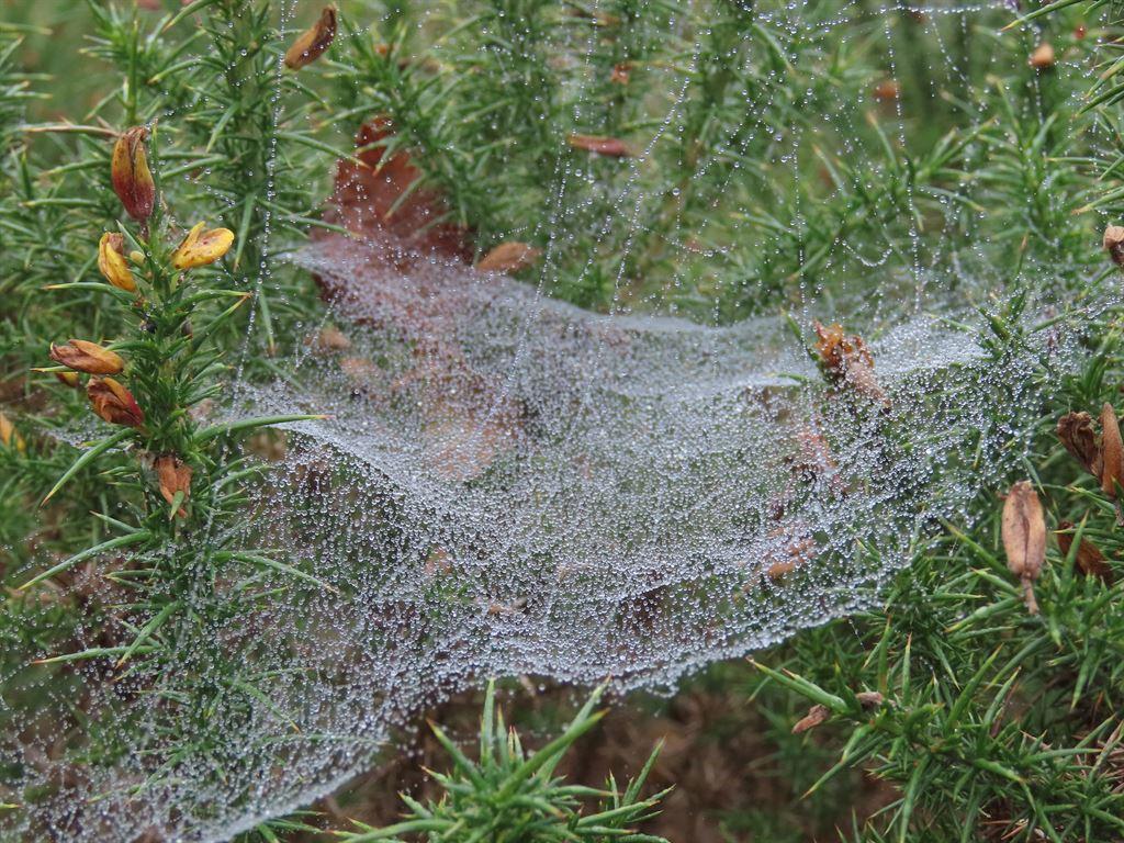 webs3