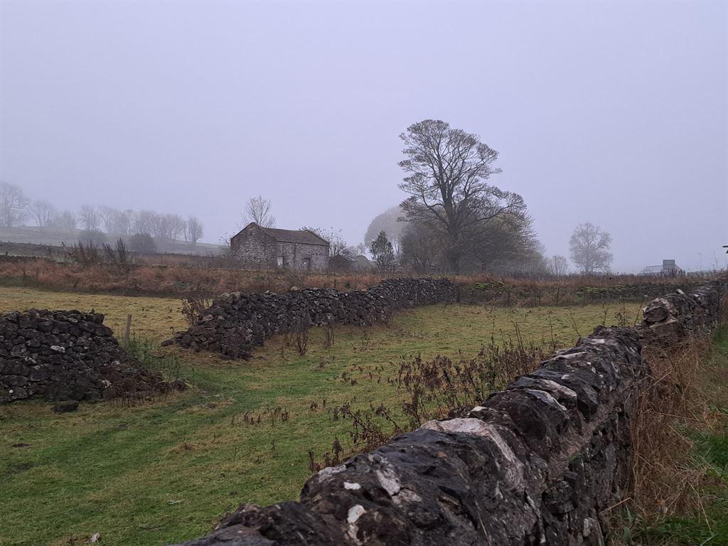 walls