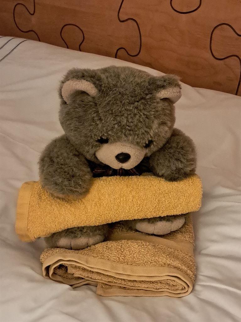 bear