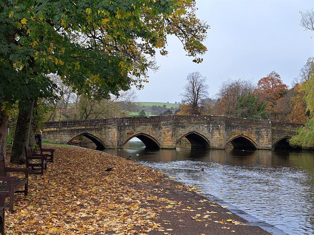 bridge
