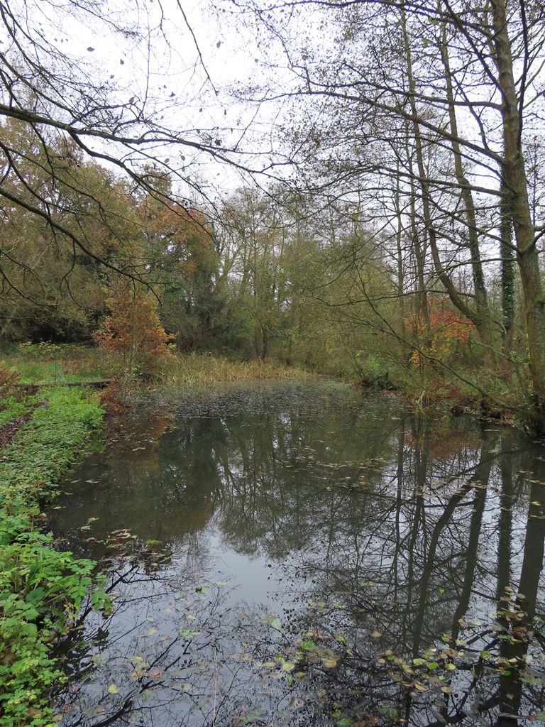 lake