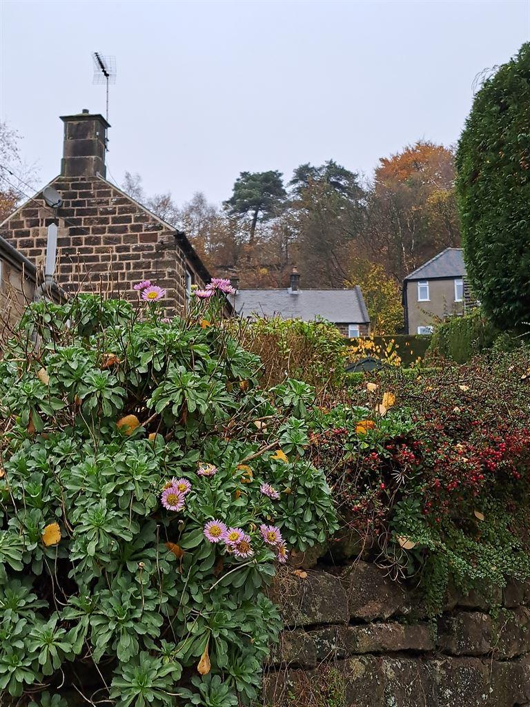 house&garden