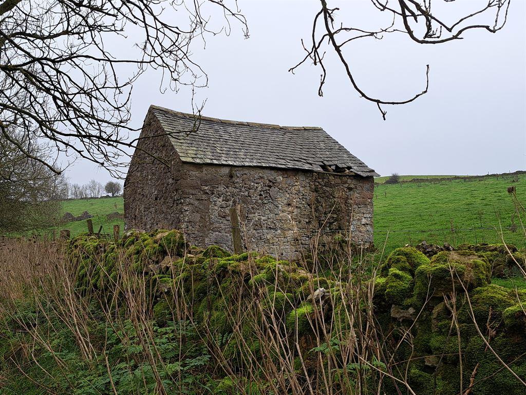 lonebuilding