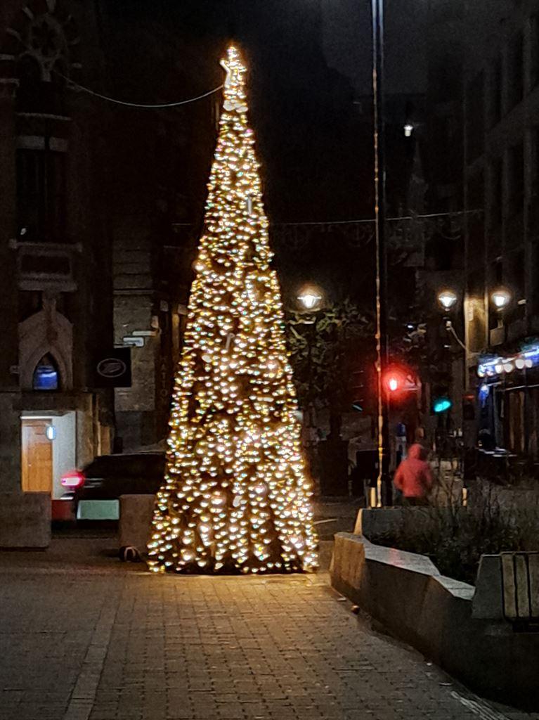 tree