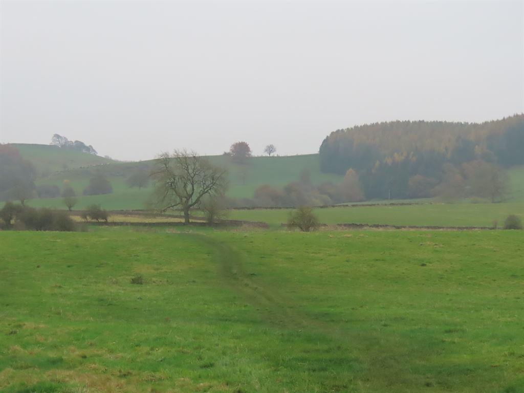 path