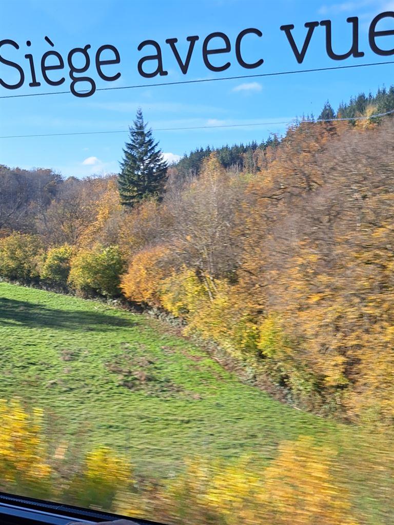 avecvue