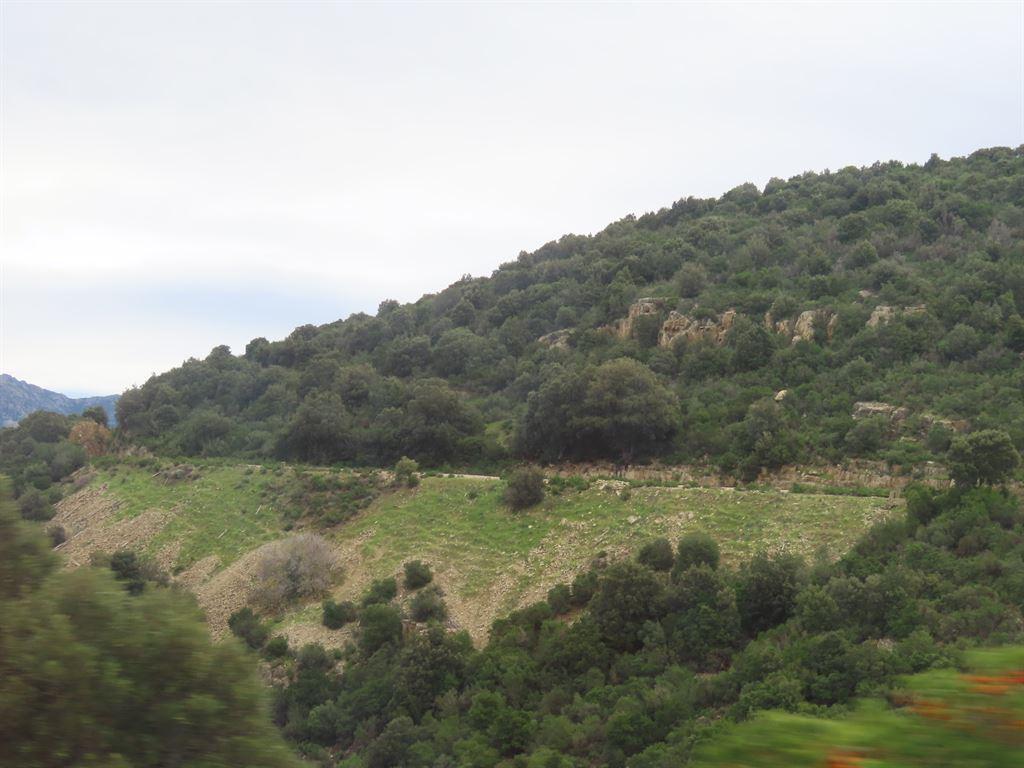 line2