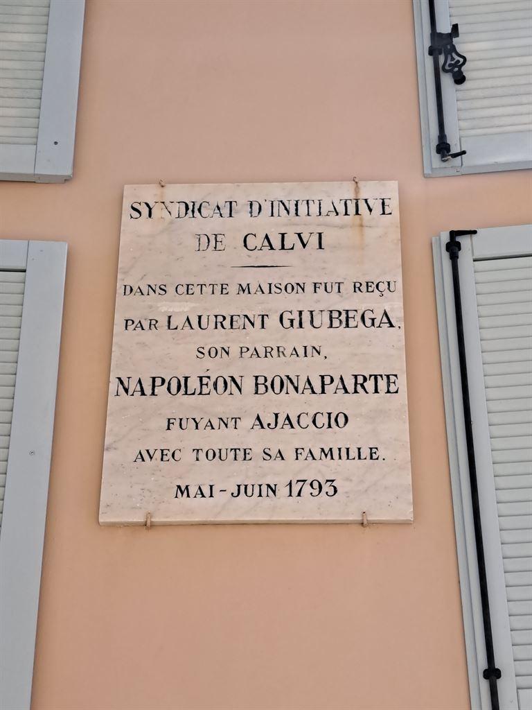 napoleon1