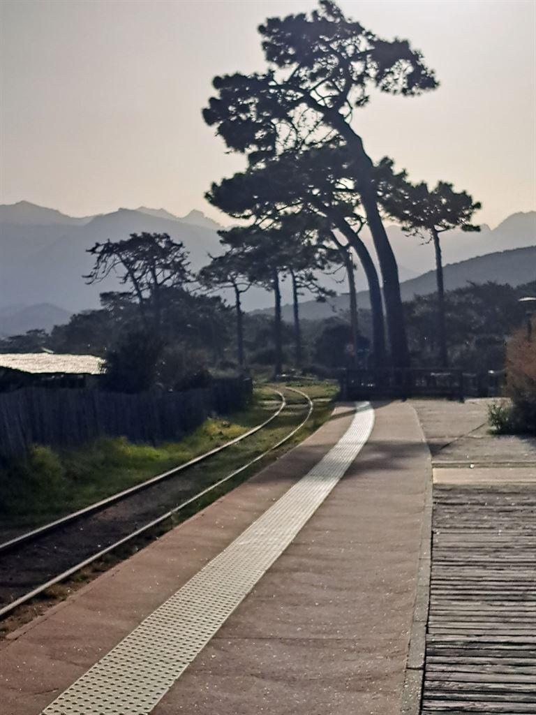 boardwalk1