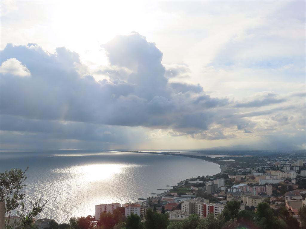 view