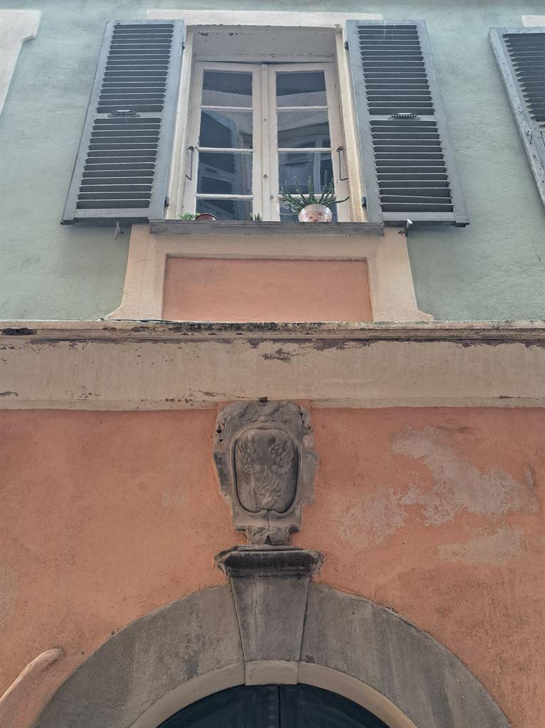 carbuccia