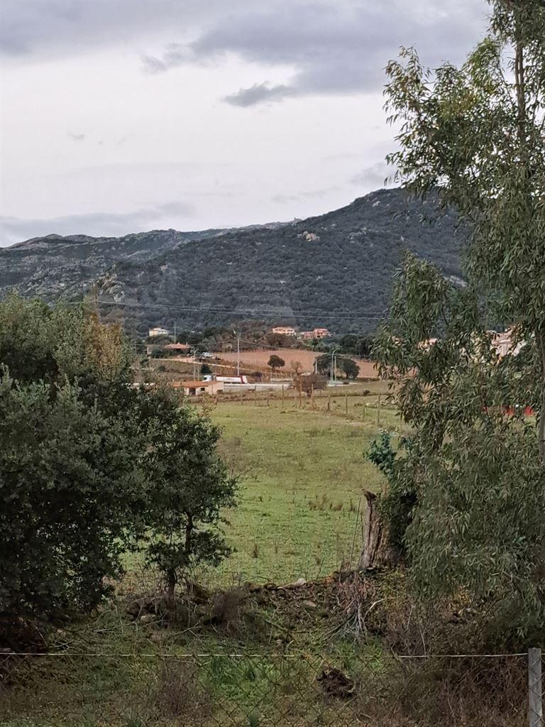 view2