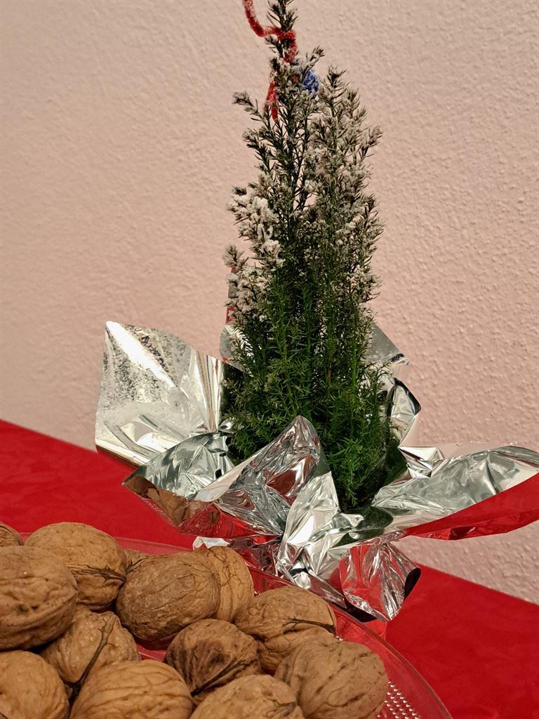 walnuts&tree