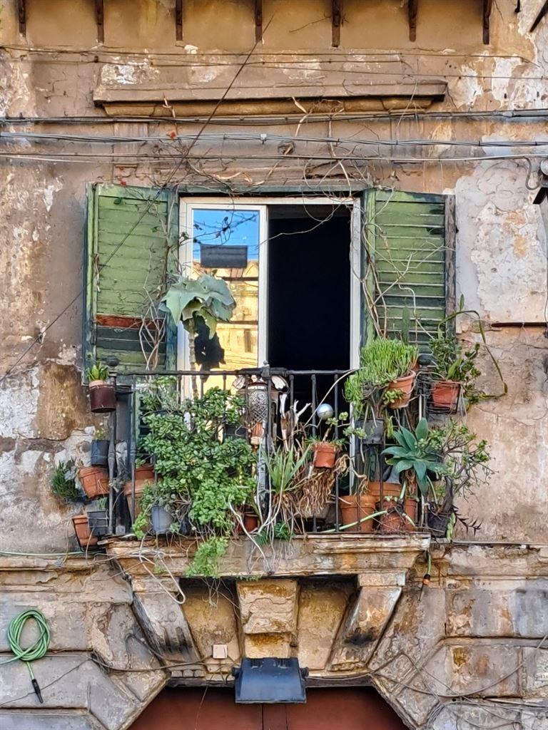 window