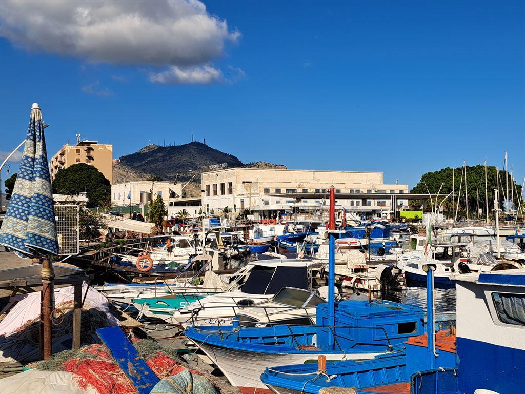 harbour