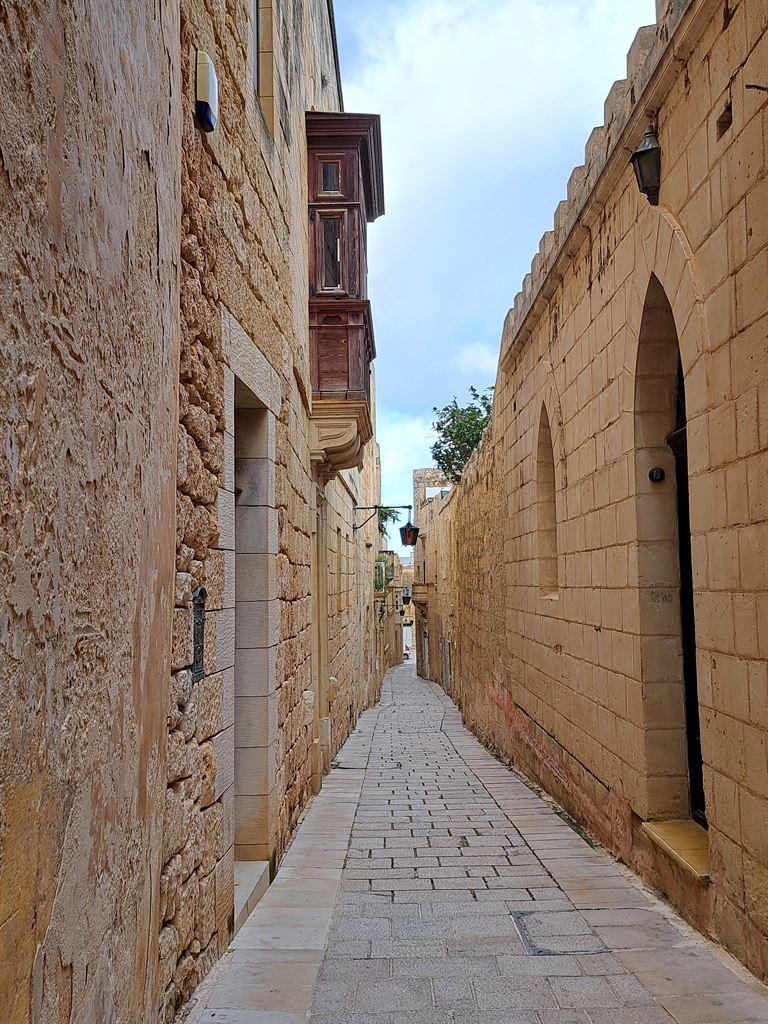 narrowlane