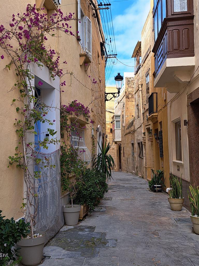 laneway1