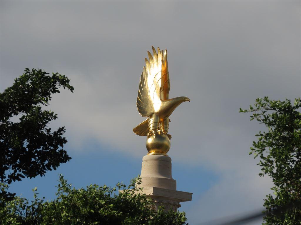 eagle