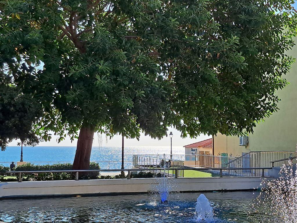 park