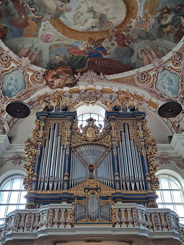 organ