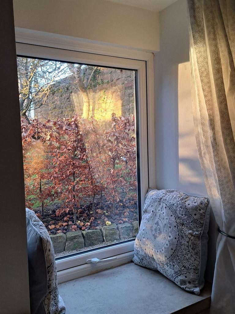 windowsun