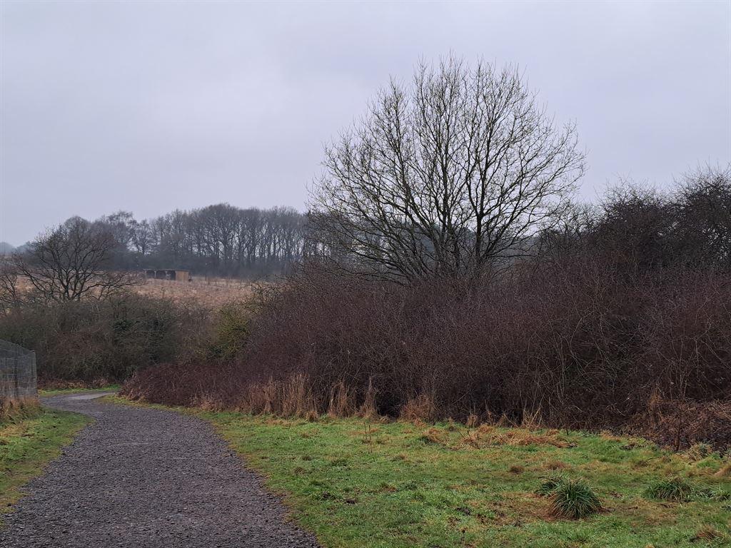 shipley