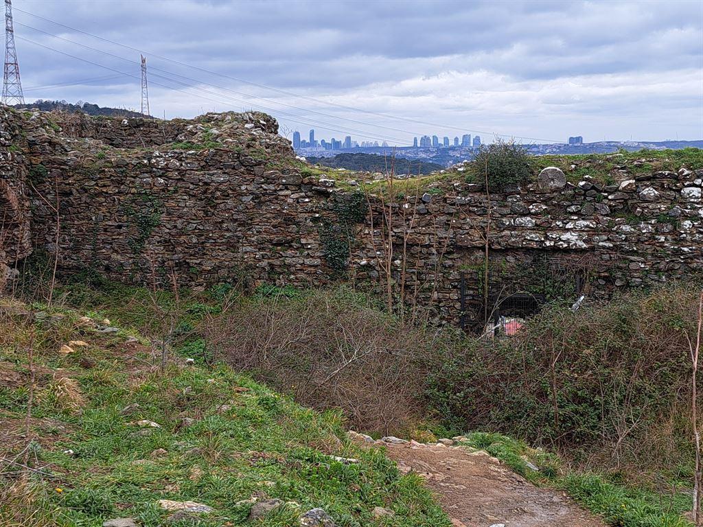 walls&city