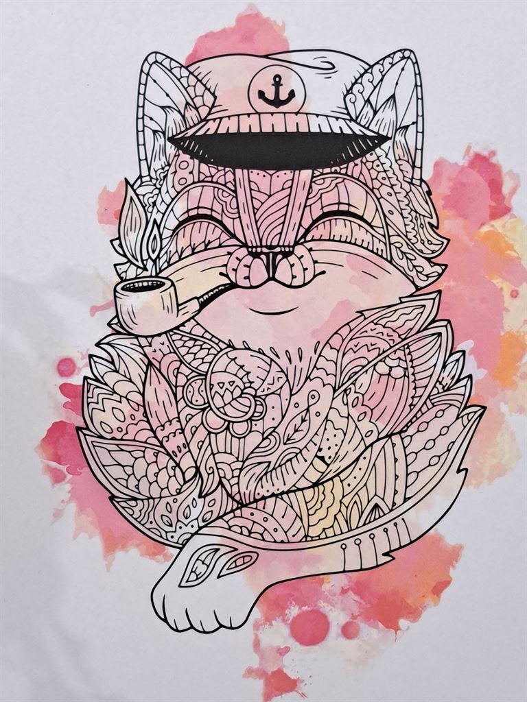 captaincat
