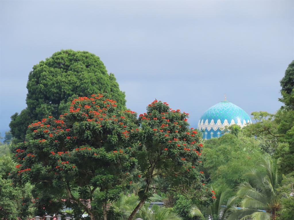 dome&blossom