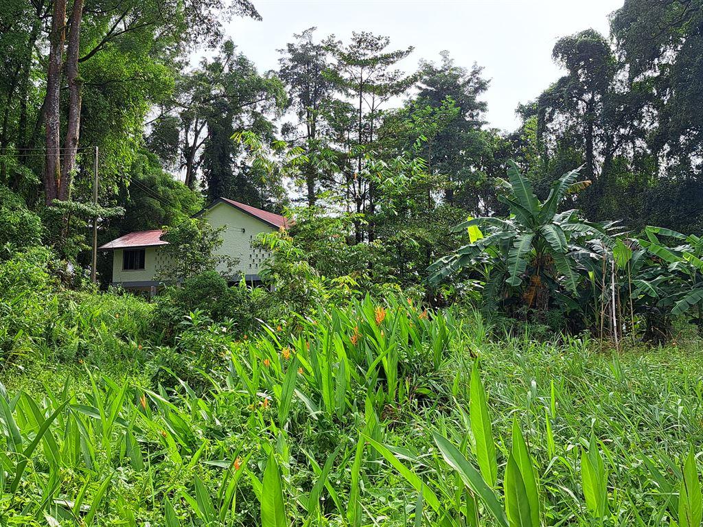 kampung