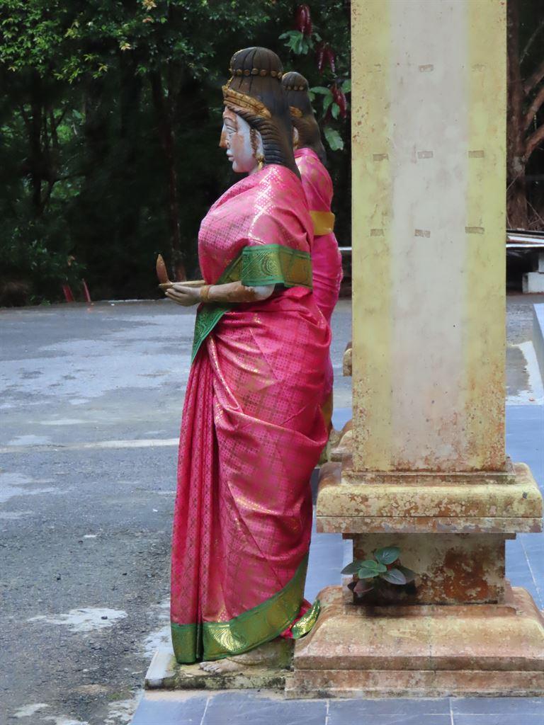 sari